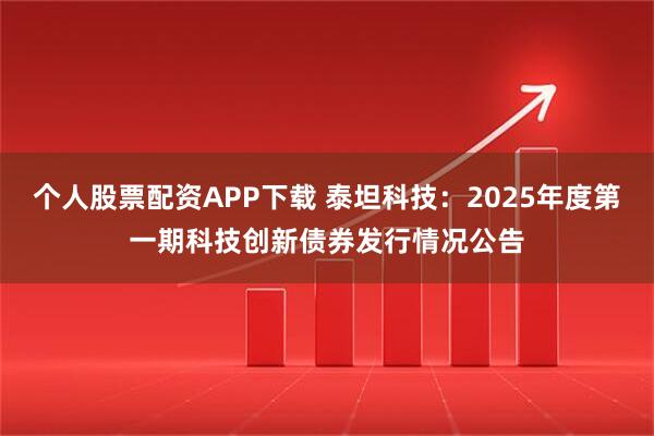 个人股票配资APP下载 泰坦科技：2025年度第一期科技创新债券发行情况公告