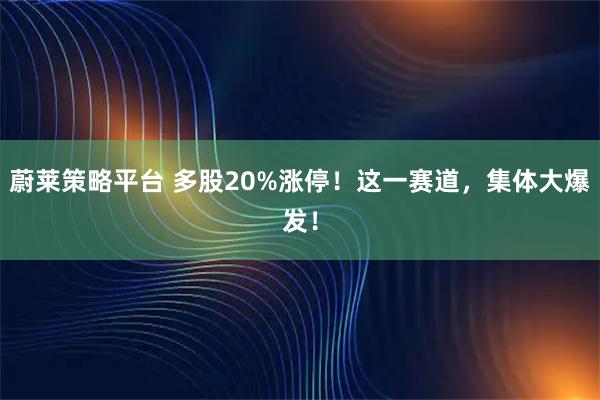蔚莱策略平台 多股20%涨停！这一赛道，集体大爆发！